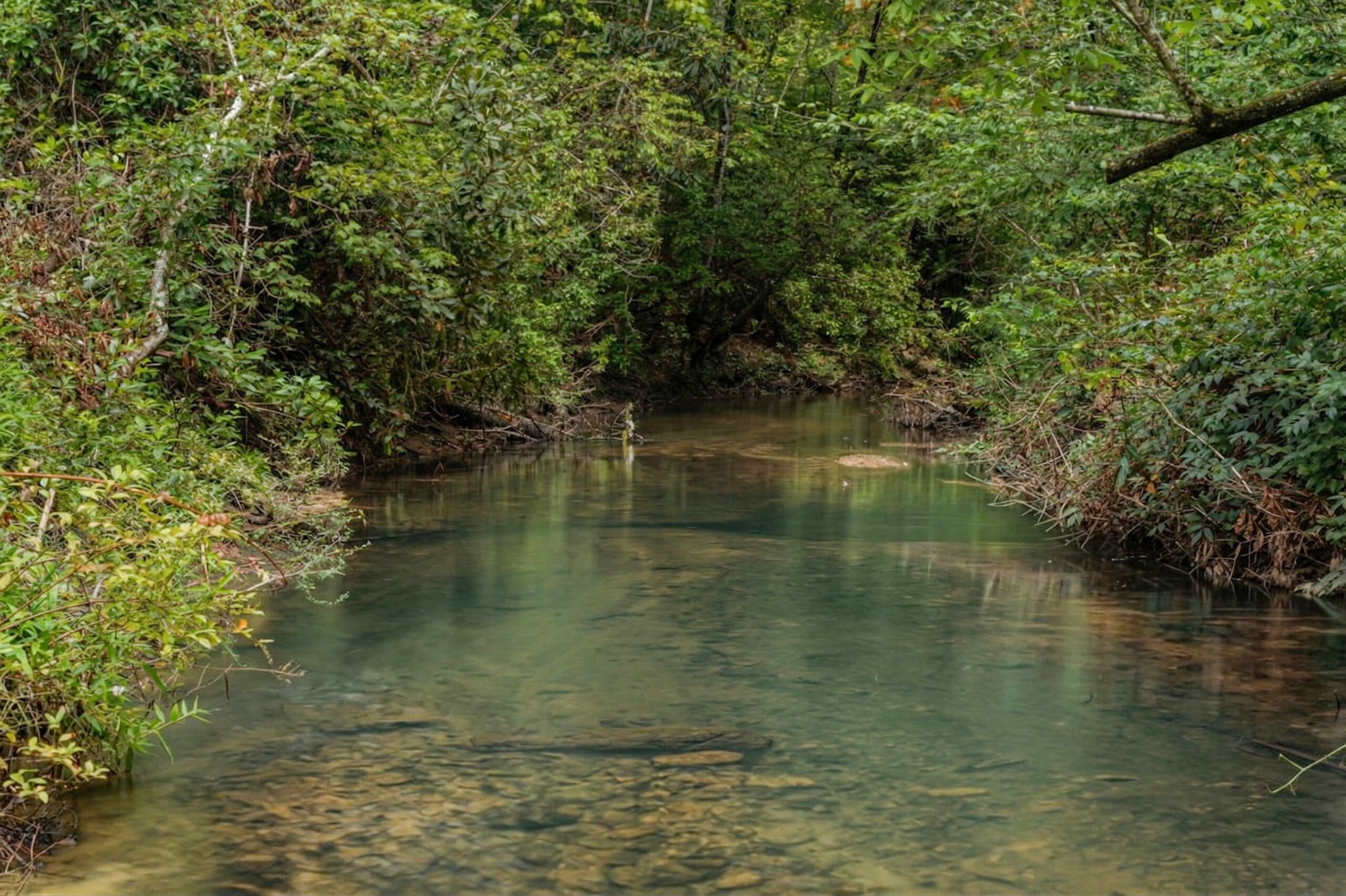 Falls Park at Keowee 1