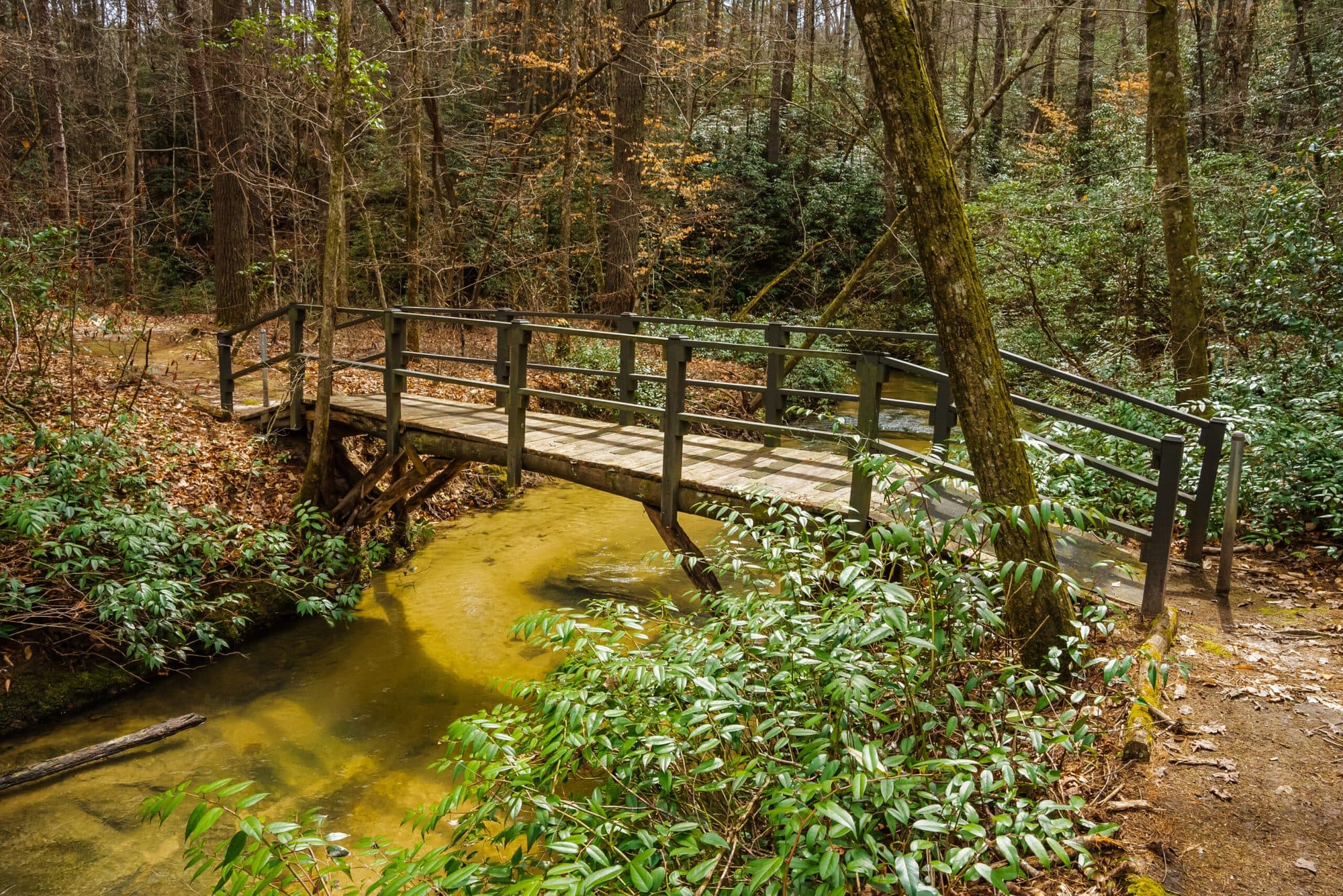 Falls Park at Keowee 2