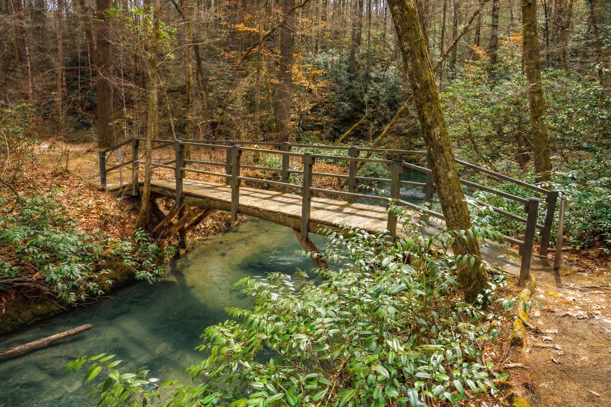 Falls Park community